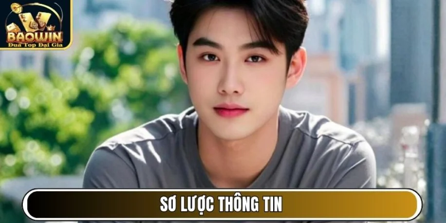 Tác Giả Darius Phạm - Đứng Sau Thành Công Của Baowin Cc 1 Sơ lược thông tin