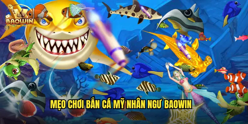Mẹo chơi bắn cá mỹ nhân ngư baowin