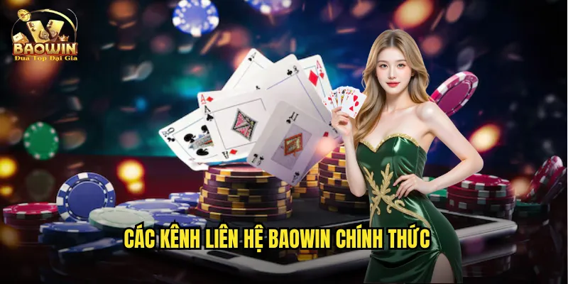Liên Hệ Baowin - Hỗ Trợ Khách Hàng Tận Tâm 24/7 1 Các kênh liên hệ Baowin chính thức
