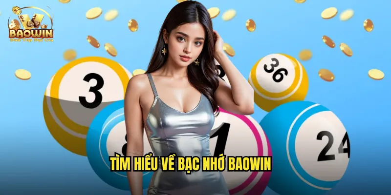 Tìm hiểu về bạc nhớ Baowin